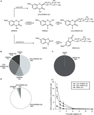 The Fall Armyworm Spodoptera frugiperda Utilizes Specific UDP-Glycosyltransferases to Inactivate Maize Defensive Benzoxazinoids